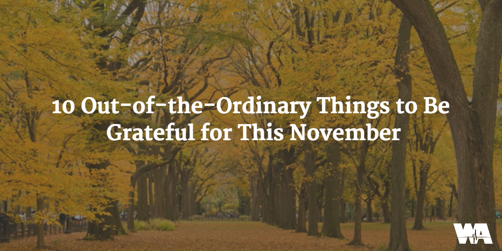 10 Things to Be Grateful for This November